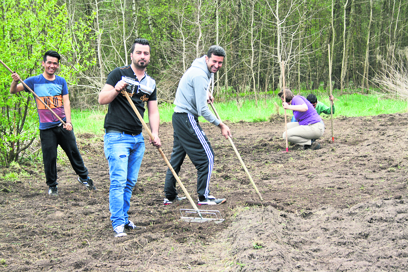 Die Flüchtlinge aus Hittfeld sind mit Freude bei der Gartenarbeit dabei