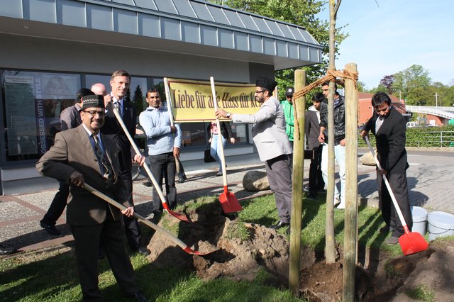 Vertreter der Ahmadiyya Muslim Jamaat-Gemeinde pflanzten mit Buchholz‘ Bürgermeister Jan-Hendrik Röhse (2. v. li.) einen Zürgelbaum