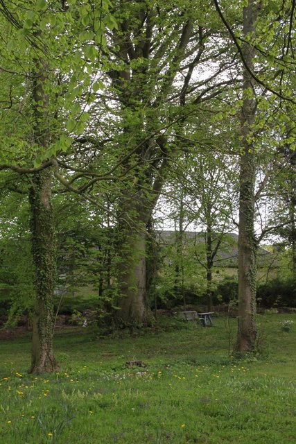 Das parkähnliche Steinmetz-Grundstück ist mit alten Bäumen bewachsen