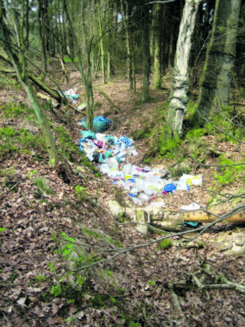 Diese Ablagerungen in einem Graben an einem Wanderweg, der von Hagenah Richtung Moor führt, entdeckte ein Spaziergänger
