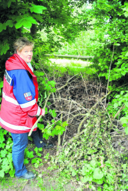 Hier, an der B73 in Stade, hat Corinna Gerken illegal entsorgte Grünabfälle entdeckt