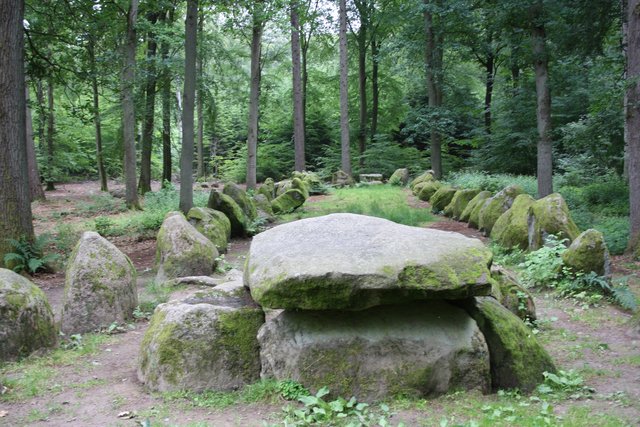 Das Hünengrab könnte bald mitten im „Friedwald liegen