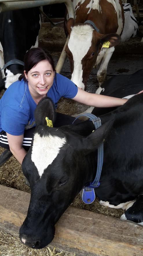 Tierwirtin Yvonne Holzer hat ein Händchen für Kühe