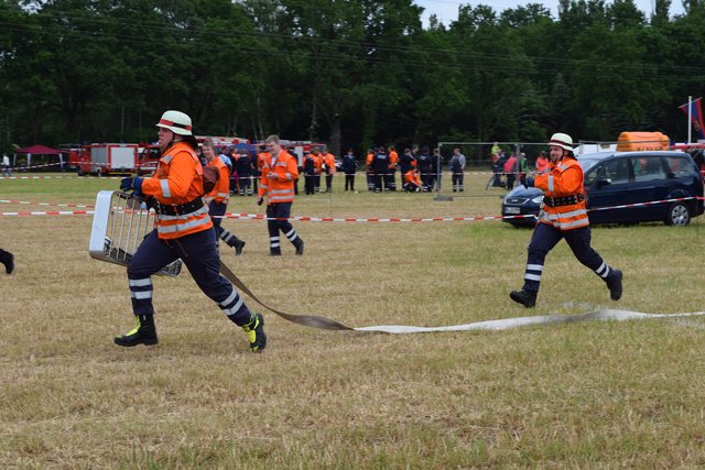 Impressionen: Stadt- und Gemeindefeuerwehrtag in Luhdorf