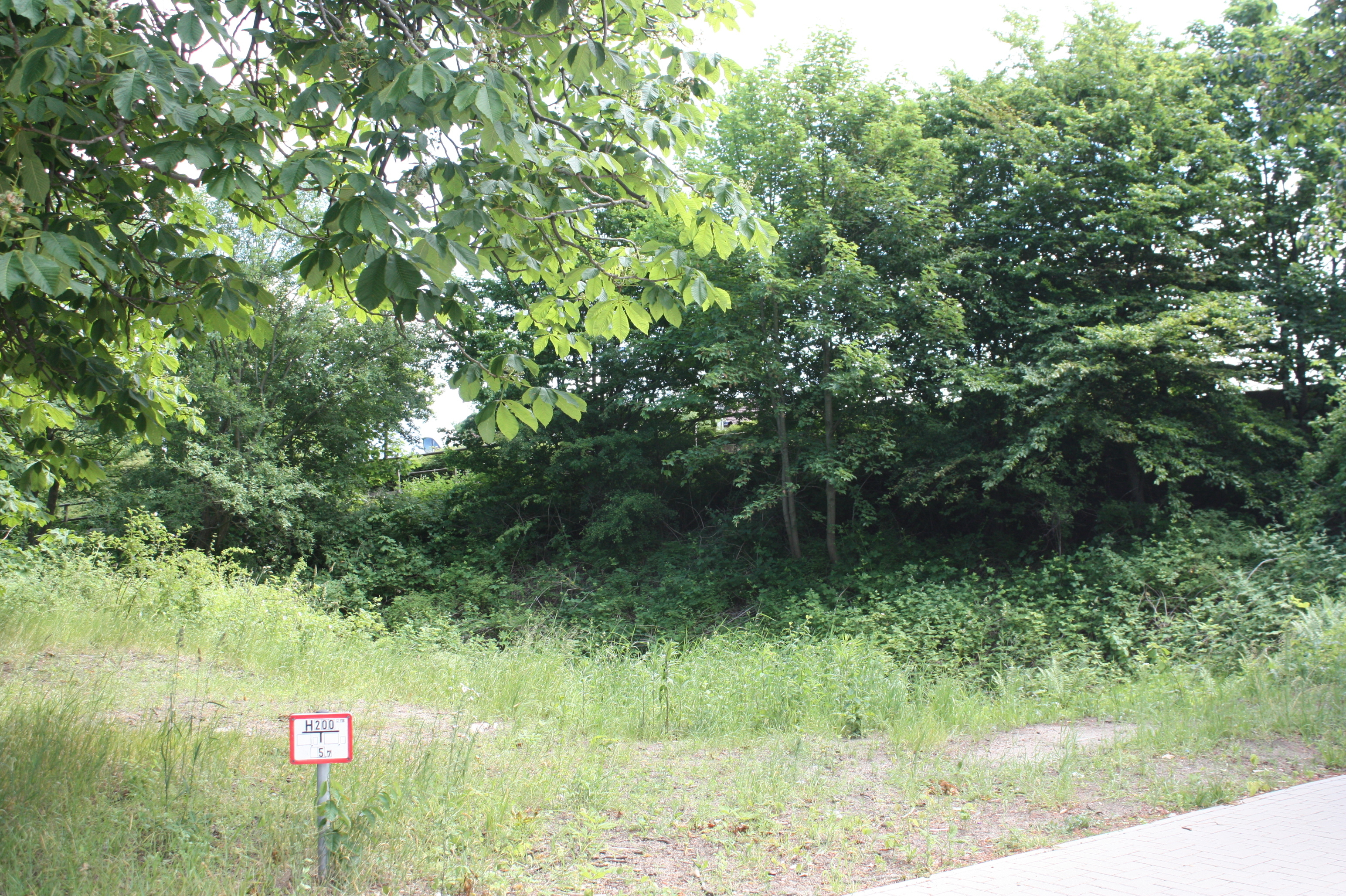 Um dieses Grundstück geht es in dem Millionen-Prozess: An der Lüneburger Straße 1, am Fuße der Canteleu-Brücke, wollte Investor Karlheinz Gremke ein Pflegeheim errichten