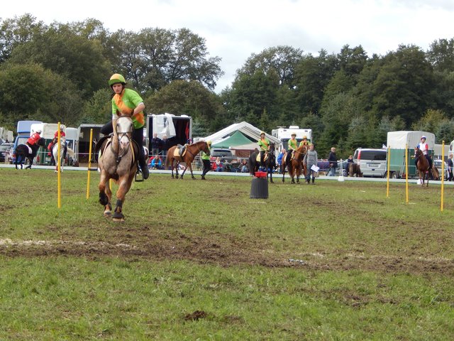 Keine Zeit zum Anhalten: Jana Karin Ingwersen springt im vollen Galopp vom Pferd | Foto: Ingwersen