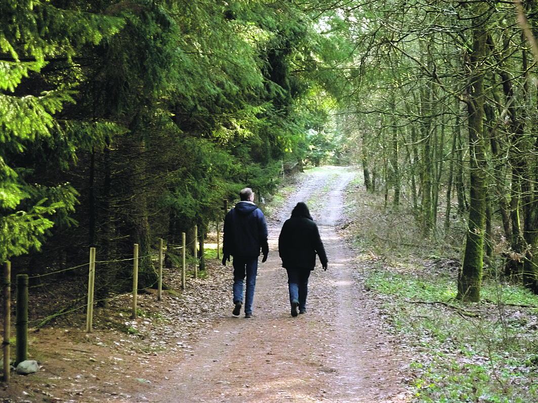 Was wird aus dem Itzenbütteler Kirchfeld? Bleibt es ein Wochenendgebiet oder entstehen dort bis zu 48 Häuser?