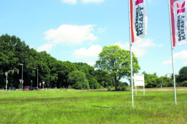 Auf der städtischen Fläche gegenüber des Nordrings soll die Werbeanlage aufgestellt werden