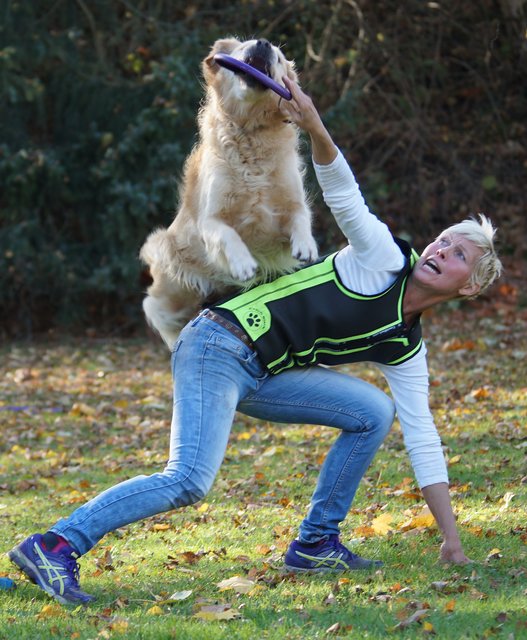 Fordert nicht nur den Hund: Dog-Frisbee erfordert auch körperliche Fitness beim Mensch