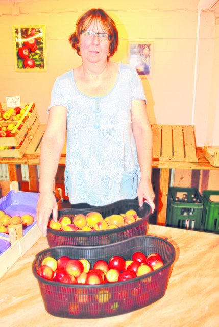Hier gibt es die süßen Früchte: Sabine Stechmann im Hofladen | Foto: tk
