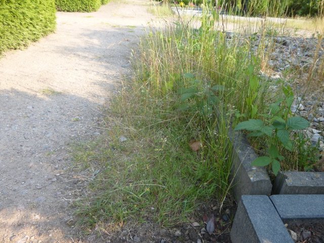 Foto: Tiedemann
