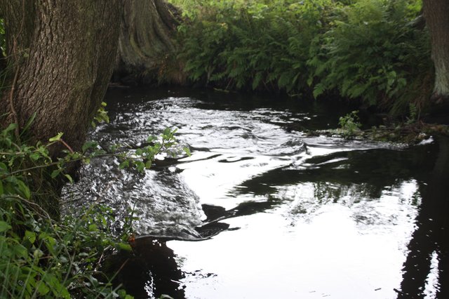 So soll es sein: Im Fluss bilden sich wieder kleine Stromschnellen