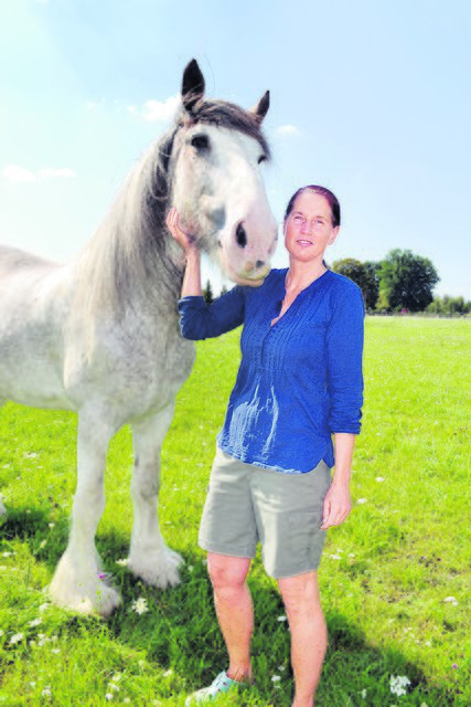 Sandra Brockmann mit Landmark. Der große Clydesdale-Wallach ist überaus zutraulich