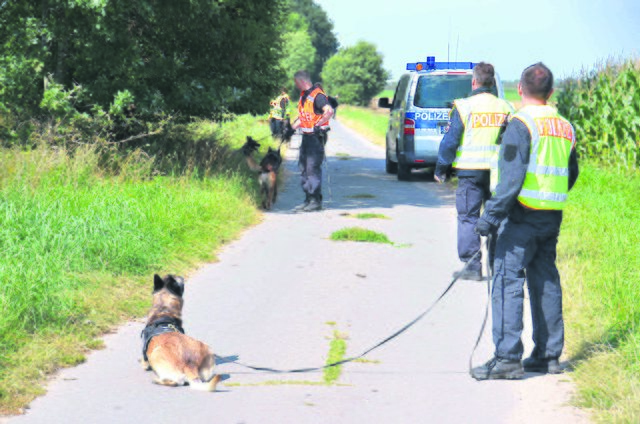 Mit Spürnase auf Ganovenjagd: Wenn es schnell gehen muss, wird ein Polizeihund mit Blaulicht zum Tatort transportiert