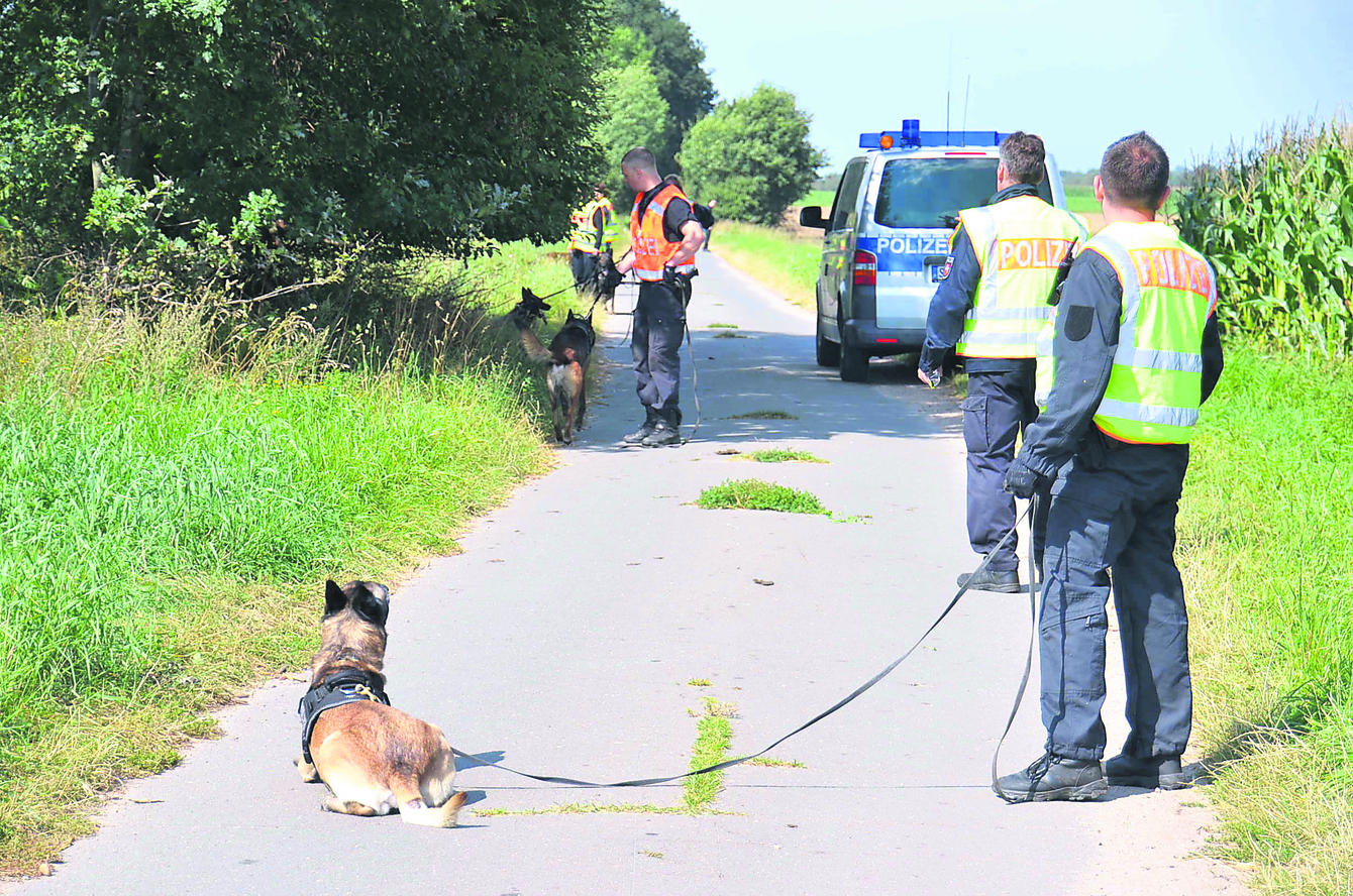 Mit Spürnase auf Ganovenjagd: Wenn es schnell gehen muss, wird ein Polizeihund mit Blaulicht zum Tatort transportiert