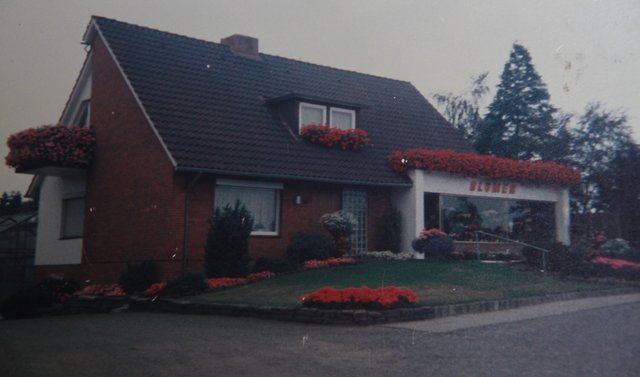 Das Blumengeschäft Roboom in den 1980er Jahren | Foto: Roboom privat