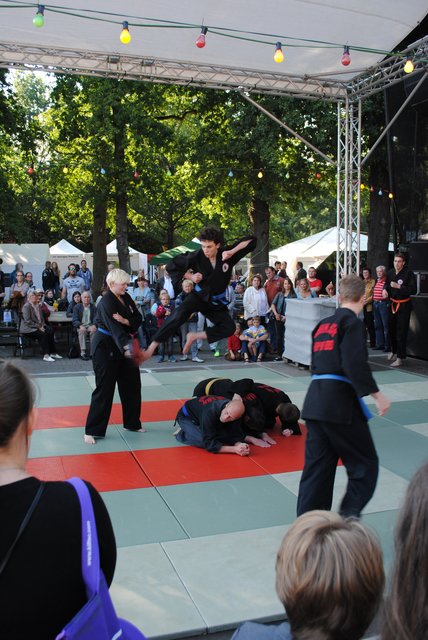 Zeigte die hohe Kunst der Selbstverteidigung: die Buchholzer Shinson Hapkido-Gruppe