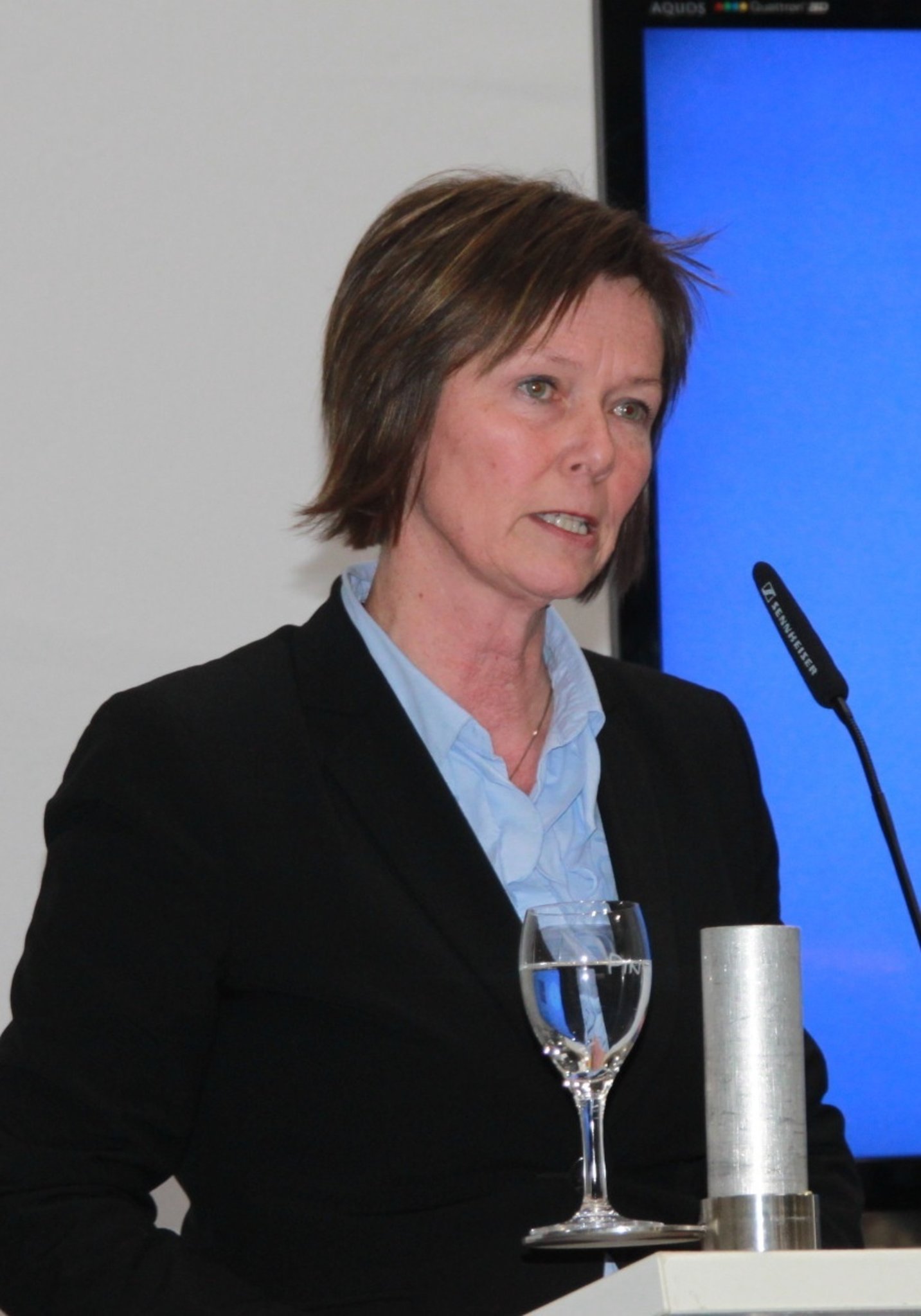 Stade Kein neuer Kreisel an der Hansestraße Stade