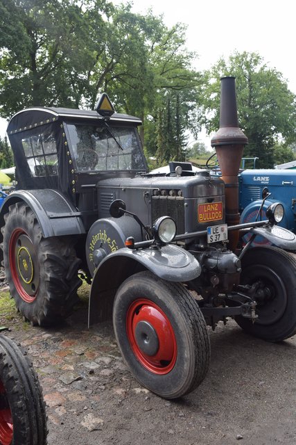 Auch für Traktorenfans gab es viel zu gucken: Das Dorffest Luhdorf präsentiert auch jährlich besondere Oldtimer-Traktoren
