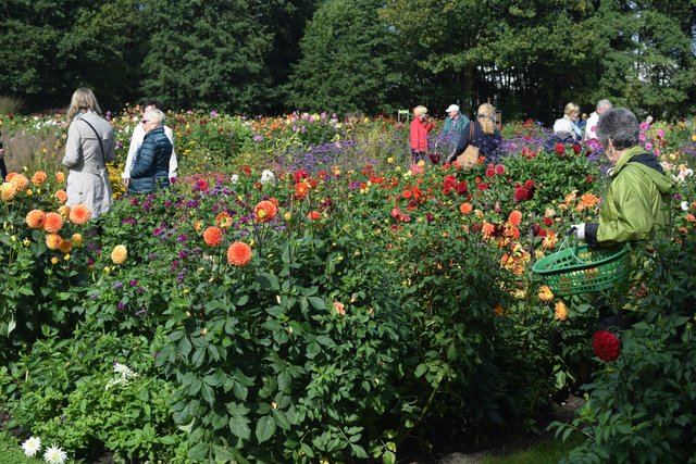 Impressionen: Dahlientag in Winsen