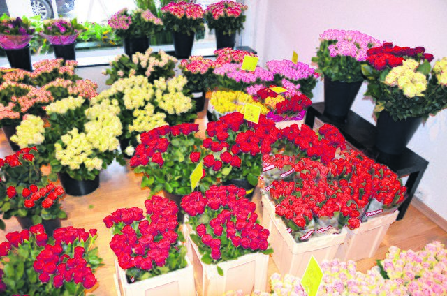 Schnittblumen jeder Art gibt es bundweise bei "myFlowers"