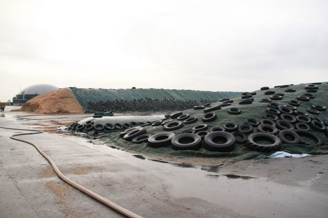 Schlauchleitung neben Silage-Haufen