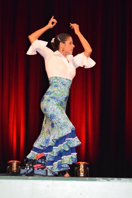 Impressionen: "Kultur und Begegnung", Fest der Deutsch-Indischen Gesellschaft