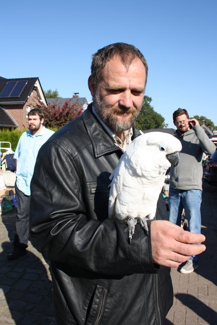 Kakadu "Rico" ließ das Markttreiben völlig kalt
