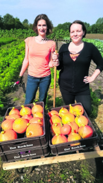 Mit einem Teil der Kürbis-Ausbeute: Annelie Steckel (li.) und Mona Lemker | Foto: Gerull