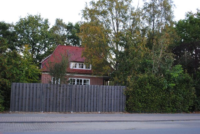 Zwei-Meter-Zaun und hohe Hecken an der Altländer Straße | Foto: tp