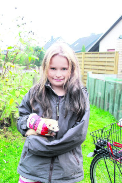 Emily Milter mit Frettchen-Weibchen "Nanni" | Foto: tp