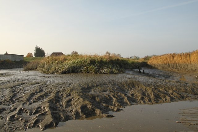 Jede Menge Schlick
