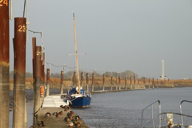 Die Steganlage des Yachtclubs