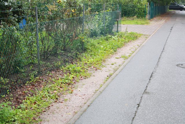 Der Bürgersteig, der zum Seniorenheim führt, ist viel zu schmal. Außerdem nicht gepflegt, so dass Rollstuhlfahrer auf die Fahrbahn ausweichen müssen