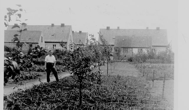 Garten in einer Siedlung bei Eddelsen (1956) | Foto: Freilichtmuseum am Kiekeberg