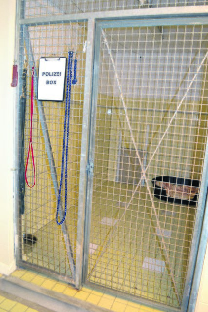Diese Box im Tierheim kann die Polizei für eingefangene Vierbeiner nutzen