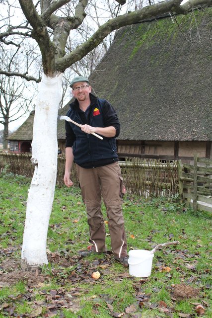 Vor dem Winter kalkt Matthias Schuh die Bäume, das hält Schädlinge fern
