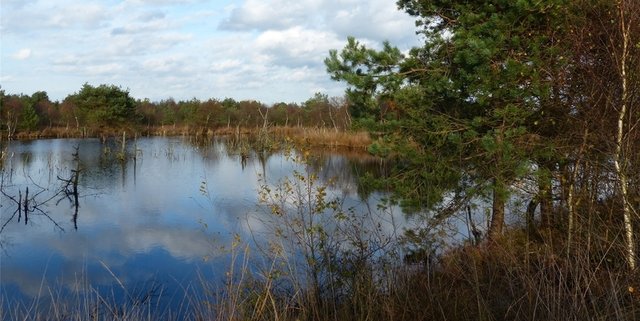 Foto: Samtgemeinde Oldendorf-Himmelpforten