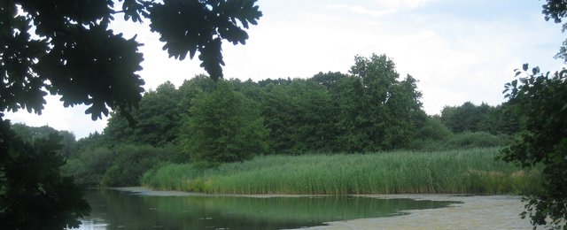 Das idyllische Gebiet Sunder Seen besteht aus mehreren Teichen
