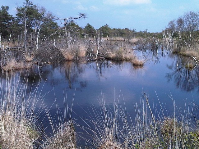 Wird in den modernen Wanderpfad integriert: das Hohe Moor bei Oldendorf | Foto: Samtgemeinde Oldendorf-Himmelpforten
