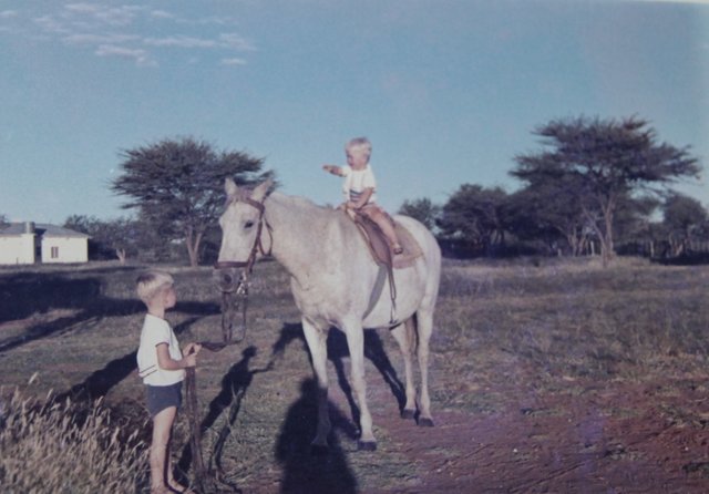 Auf der Ranch in Namibia: Eckhard von Plate-Spandaus Söhne Torsten (li.) und Carsten mit einer Araber-Stute | Foto: von Plate-Spandau privat