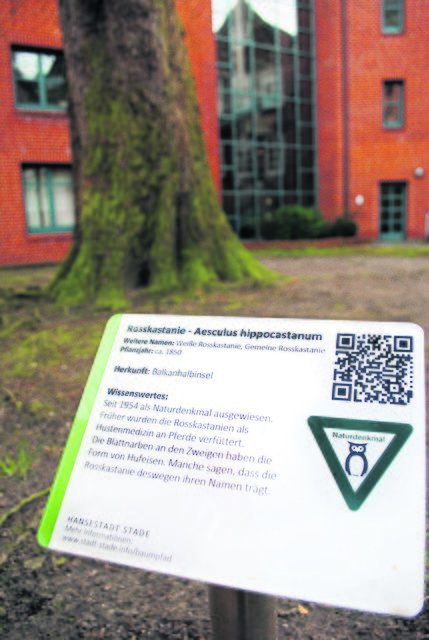 Auf Tafeln vor den Bäumen befinden sich die wichtigsten Informationen