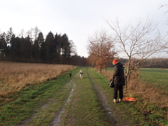 Wunderschön: Dieser Weg geht von der Moisburger Landstraße ab und führt am Estering vorbei