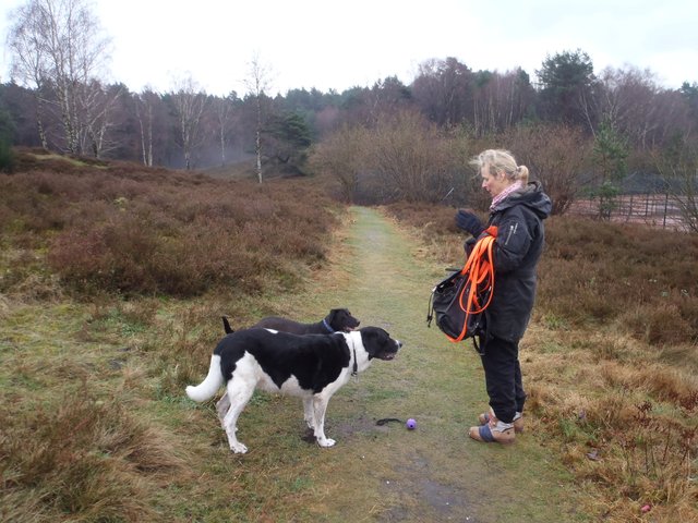 Wunderschön aber falsch - dieser Weg kostete uns unnötig Zeit