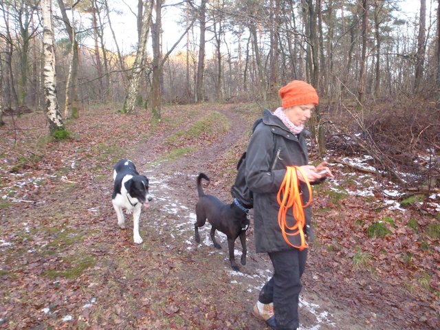 Jetzt sind wir schon fast in heimatlichen Gefilden - im Waldstück zwischen Nindorf und Heimbruch