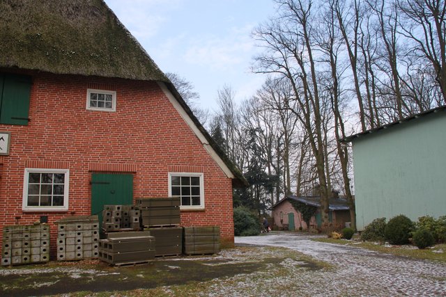 Der kleine Laubwald gehört zu einem landwirtschaftlichen Gehöft