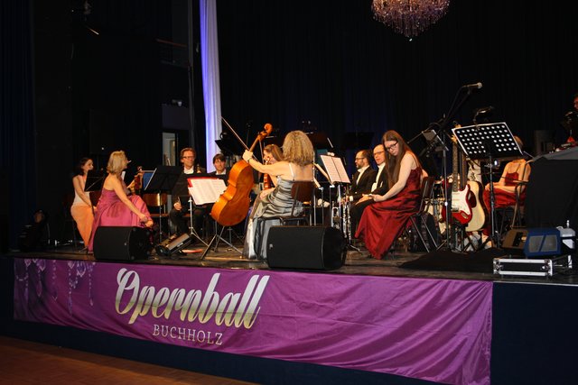 Das Orchester Saiten-Sprung