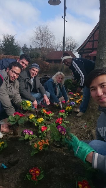 Flüchtlinge und Jesteburger pflanzten gemeinsam | Foto: GeWerbekreis Jesteburg