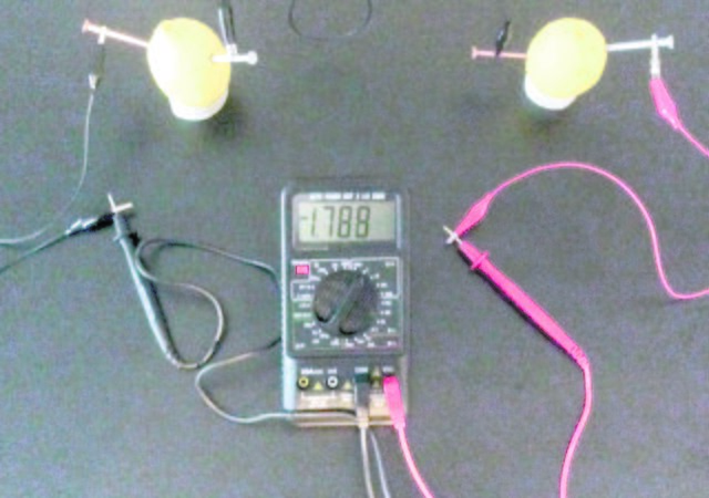 Mithilfe eines Multimeters untersuchten die Mädchen die Leitfähigkeit von Obst | Foto: Lea Prozeske