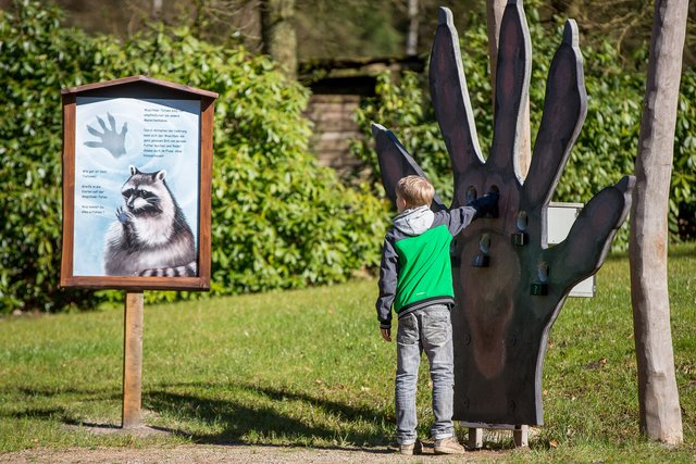 Mit grafisch liebevoll gestalteten Tafeln werden die einzelnen Stationen leicht verständlich erklärt. Hier wird der besondere Tastsinn des Waschbären erlebbar gemacht
Der „ | Foto: Wildpark/Thomas Ix